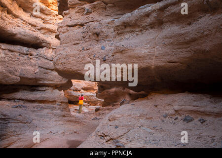 Owl Canyon Lake Mead National Recreation Area, Nevada Foto Stock