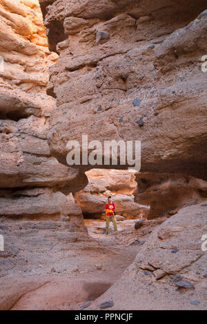 Owl Canyon Lake Mead National Recreation Area, Nevada Foto Stock