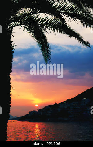 Palm tree silhouette sulla spiaggia durante il bellissimo tramonto Foto Stock