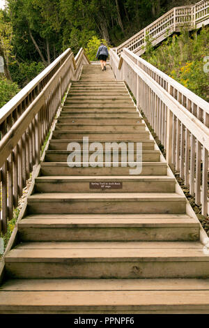 Donna arrampicata vicino alla parte superiore di una ripida serie esterna di scale in legno. Turismo a salire le scale che portano alla Arch Rock sull isola di Mackinac, Michigan. Foto Stock