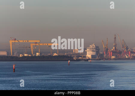 La mattina presto vista nebbiosa di Belfast dock, crociera e Harland & Wolff gru di costruzione navale, Sansone e Golia. Belfast Lough, N.Irlanda. Foto Stock