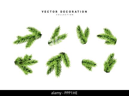 Impostare albero di Natale isolato su sfondo bianco, pino rami di abete. Illustrazione Vettoriale