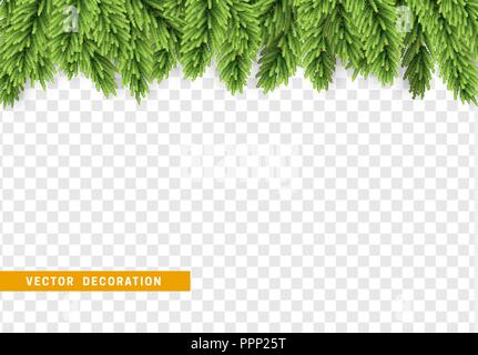 Bordo di Natale con rami di abete. Isolato su sfondo trasparente. Xmas illustrazione vettoriale Illustrazione Vettoriale