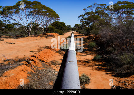 La conduttura di acqua da Perth a Kalgoorlie vicino alla città di Merredin Australia Occidentale Foto Stock