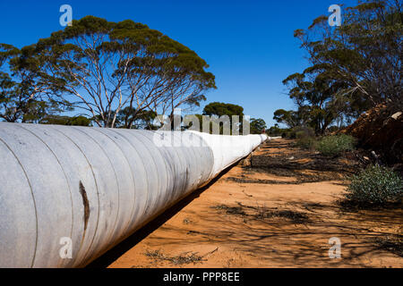 La conduttura di acqua da Perth a Kalgoorlie vicino alla città di Merredin Australia Occidentale Foto Stock