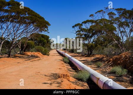 La conduttura di acqua da Perth a Kalgoorlie vicino alla città di Merredin Australia Occidentale Foto Stock