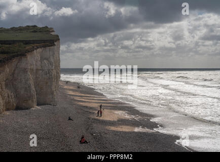 I turisti sulla spiaggia rocciosa a Birling Gap, Sussex Foto Stock