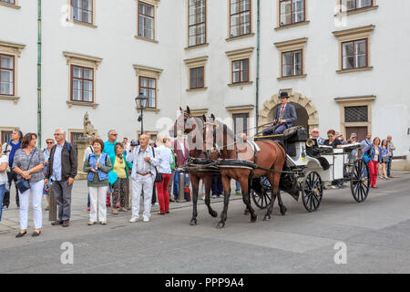 VIENNA, Austria - 27 giugno 2015: Pullman passeggiate a cavallo. Bellissima vista della carrozza trainata da cavalli nella downtowan Vienna, Austria Foto Stock