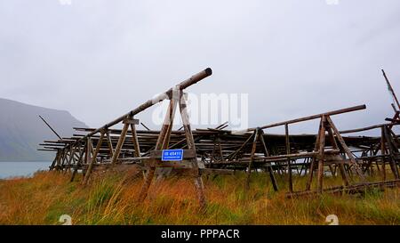 Pesce vecchio rack di asciugatura in Flateyri, Westfjords, Islanda Foto Stock