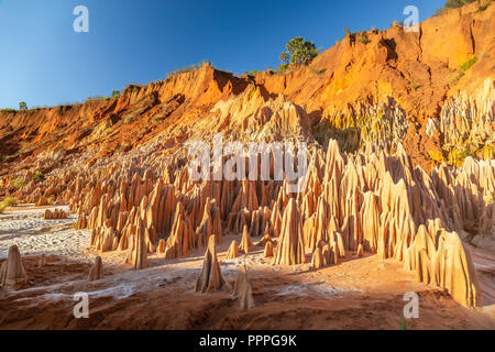 Il rosso tsingy di Antsiranana (Diego Suarez), Madagascar Foto Stock