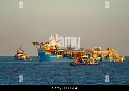 Connettore di Maersk la posa di cavi elettrici a (East Anglia uno) un offshore wind farm Foto Stock