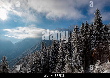 Krimml, Wilkdgerlos Valley, Salzburger Land, Austria Foto Stock