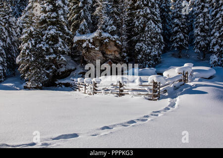 Krimml, Wilkdgerlos Valley, Salzburger Land, Austria Foto Stock