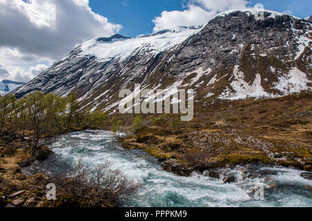 Paesaggio di montagna, Strynevegen, Sogn og Fjordane, Norvegia Foto Stock