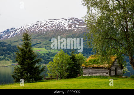 Agriturismo, Jolstravatnet, sogna og Fjordane, Norvegia Foto Stock