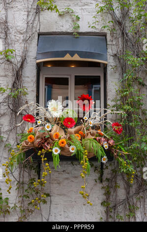 Bella composizione floreale con margherite e dalie, decorare una finestra sulla Rue du Petit Champlain - una famosa strada dello shopping nella Vecchia Quebec Foto Stock