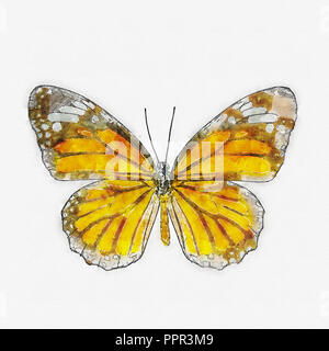 Acquerello di comune tiger butterfly , Danaus Genutia , farfalla monarca isolato su sfondo bianco Foto Stock