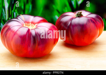 Il pomodoro Mar Azul (Marazul). Si tratta di un nuovo e una deliziosa varietà di pomodoro di delicato blu, viola e rosa di toni più sapore fruttato, succosa e con una Foto Stock