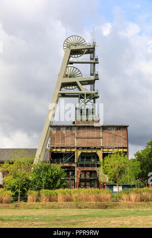 Zeche Ewald, edifici industriali e la ex miniera di carbone di torre di albero, Herten, Ruhrgebiet, Germania Foto Stock