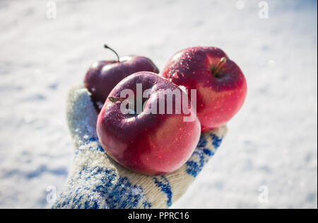 Ragazza trattiene le mele rosse indossando guanti all'aperto sulla neve sullo sfondo. Foto Stock