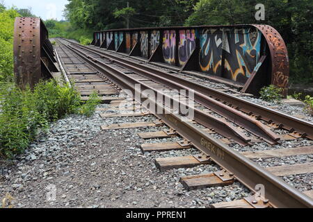 Abbandonata la stazione del treno con graffiti al di fuori della linea di cintura trail a Toronto, Ontario, Canada. Foto Stock