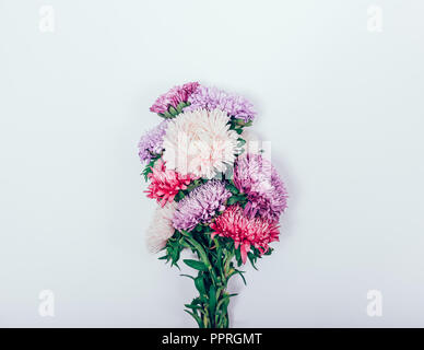 Lussureggiante bouquet di grandi Aster fiori di rosa, viola e sfumature lilla nel centro di sfondo bianco, vista dall'alto. Stabilire piani di composizione floreale con cop Foto Stock