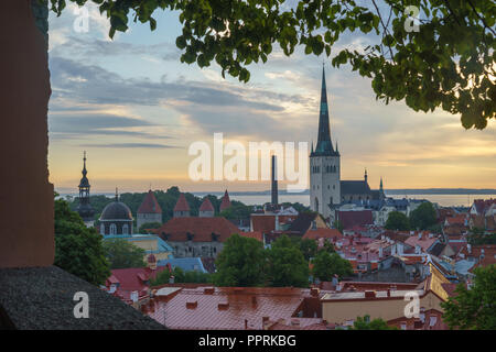 Calma mattina sulla città vecchia di Tallinn, Estonia Foto Stock