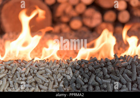 Due tipi di pellet di legno nel fuoco - riscaldamento Foto Stock