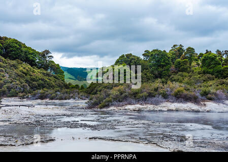 Un caldo lago di zolfo delimitate da alberi colorati con dolci colline in background. Foto Stock