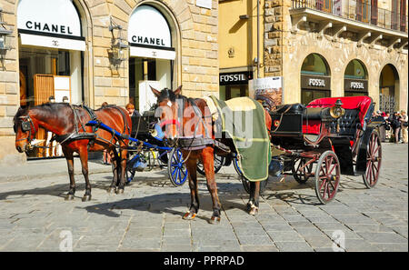 Carro trainato da cavalli in Piazza della Signoria a Firenze. Italia Foto Stock