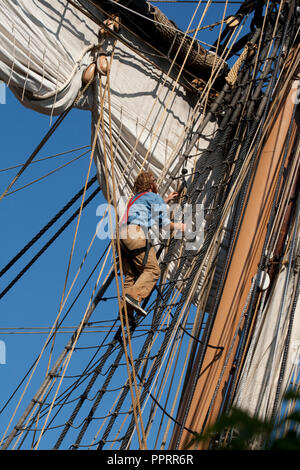 Uomo di manovre di arrampicata alle vele sul Pride of Baltimore II Tall Ship ormeggiata nel porto di Duluth per il Festival marittimo. Duluth Minnesota MN USA Foto Stock