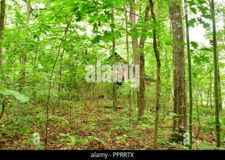 Vecchia piantagione mezzadri dell abitacolo o cabina slave, situato vicino al maestoso oakes mansion di Clayton County, Jonesborough Georgia. Foto Stock