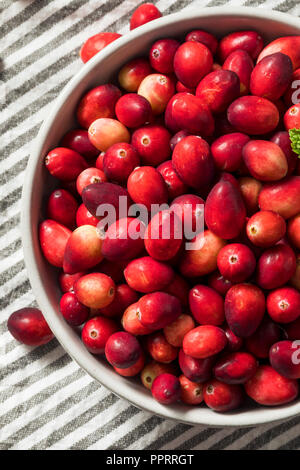 Materie organico rosso di mirtilli rossi pronto a cucinare con Foto Stock