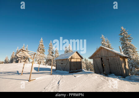 Favola invernale paesaggio soleggiato. Due weathered pastore in legno capanne sulla montagna di clearing innevate tra alberi di pino su brightl blue sky copyspace backgr Foto Stock