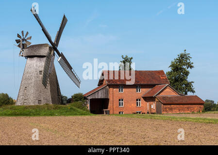 Mulino a vento, Bierde, Petershagen, Minden-Luebbecke, Est Westphalia-Lippe, Renania settentrionale-Vestfalia, Germania, mulino a vento Foto Stock