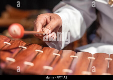 Un uomo gioca il Roneat Aek (Bambù / xilofono di legno) a un cambogiano di Anno Nuovo festival in Virginia Foto Stock