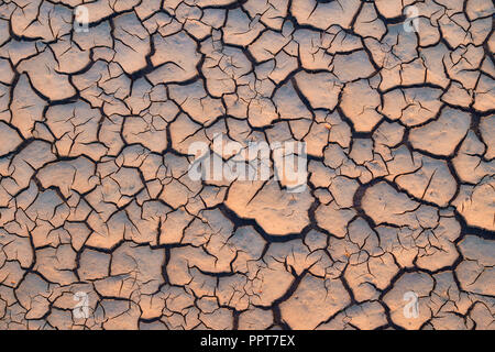 Arido e asciutto terra incrinato. Il riscaldamento globale effetto Foto Stock