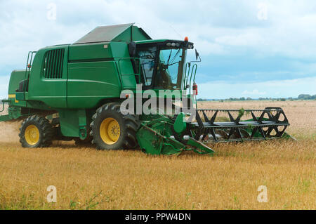 Verde trincia semovente raccolti, il trattore è il lavoro nel campo Foto Stock