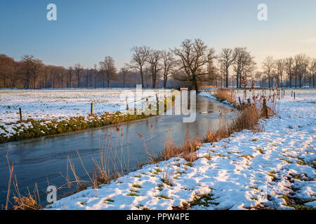 Il sole è di impostazione lentamente su un tipico paesaggio Olandese in inverno il mese di gennaio. Questo paesaggio è vicino alla città di Delden regione Twente Foto Stock