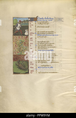 Un uomo semina; segno zodiacale dello Scorpione; Tours, Francia; circa 1480 - 1485; tempere, oro e inchiostro su pergamena; foglie Foto Stock