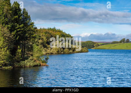 Paesaggio panoramico vista del serbatoio Thruscross con bosco soleggiato a bordo d'acqua, sotto il cielo blu - Washburn Valley, North Yorkshire, Inghilterra, Regno Unito. Foto Stock