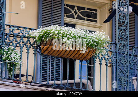 Un ferro battuto balcone, con una piantatrice di bianco, sweet alyssum, è raffigurato nel Quartiere Francese di New Orleans, in Louisiana. Foto Stock