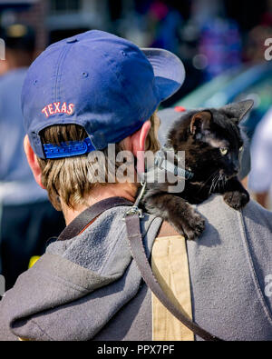 Un uomo che indossa un cappello del Texas e una felpa con cappuccio porta un gatto nero che indossa un cablaggio sulla sua spalla, nov. 15, 2015, New Orleans, in Louisiana. Foto Stock