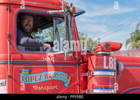 Un sorridente conducente siede nella cabina del molto prima Lopez Bros carrello della flotta, un 1982 Strada Bianca Boss prime mover che è ancora in servizio attivo oggi Foto Stock