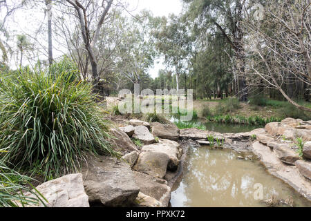 Scenario del parco in Western Plains Zoo, Dubbo NSW Australia. Foto Stock