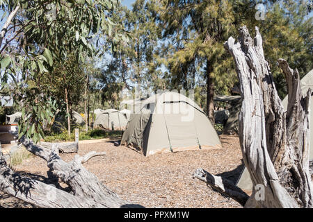 Tende per pernottamenti in Billabong Campeggio a Dubbo Zoo Australia NSW. Foto Stock