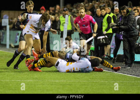 Newcastle, Regno Unito. Il 28 settembre 2018, Kingston Park, Newcastle, Inghilterra; Gallagher Premiership, Newcastle v vespe ; Sinoti Sinoti di Newcastle Falcons è affrontato Credito: Dan Cooke/News immagini Credito: News immagini /Alamy Live News Foto Stock