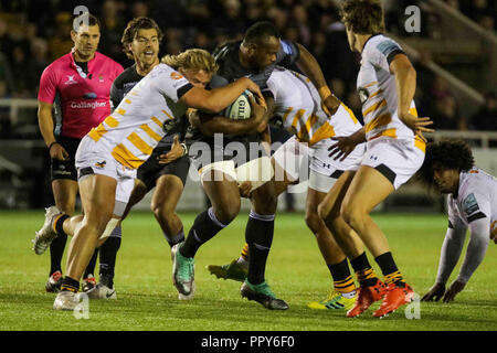 Newcastle, Regno Unito. Il 28 settembre 2018, Kingston Park, Newcastle, Inghilterra; Gallagher Premiership, Newcastle v vespe ; Vereniki Goneva di Newcastle Falcons è affrontato Credito: Dan Cooke/News immagini Credito: News immagini /Alamy Live News Foto Stock