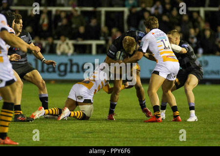 Newcastle, Regno Unito. Il 28 settembre 2018, Kingston Park, Newcastle, Inghilterra; Gallagher Premiership, Newcastle v vespe ; Chris Harris di Newcastle Falcons è affrontato Credito: Dan Cooke/News immagini Credito: News immagini /Alamy Live News Foto Stock