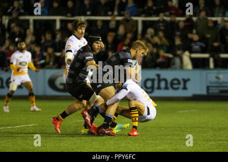 Newcastle, Regno Unito. Il 28 settembre 2018, Kingston Park, Newcastle, Inghilterra; Gallagher Premiership, Newcastle v vespe ; Chris Harris di Newcastle Falcons è affrontato Credito: Dan Cooke/News immagini Credito: News immagini /Alamy Live News Foto Stock